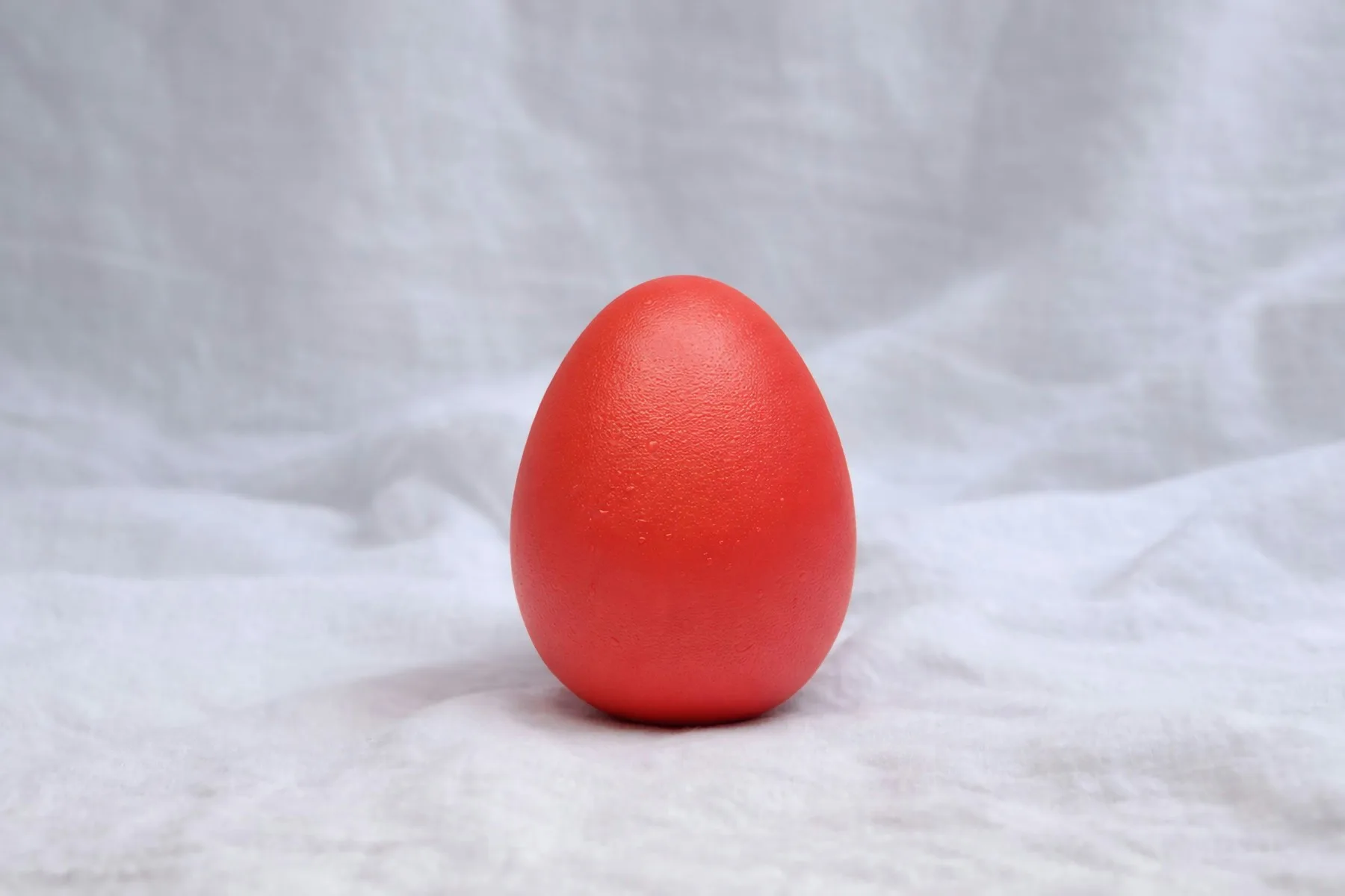 Ein einzelnes rotes Osterei auf weißem Hintergrund als Symbol für Google Easter Eggs
