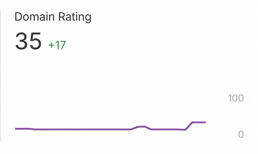 Domain Rating von 35 mit einer Steigerung um 17 Punkte