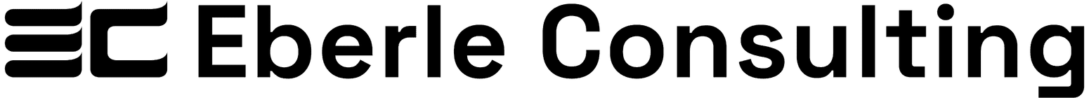 Eberle Consulting Logo Online Marketing aus Augsburg