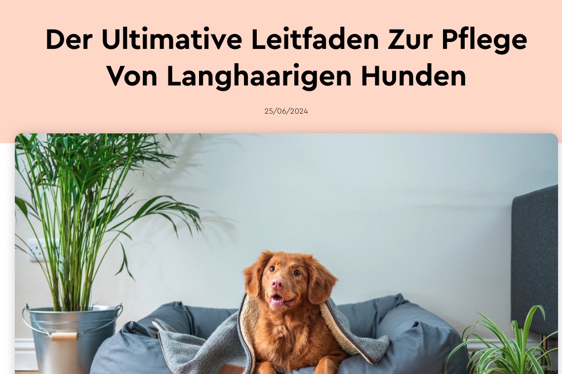 heybruno Artikel Layout Referenz