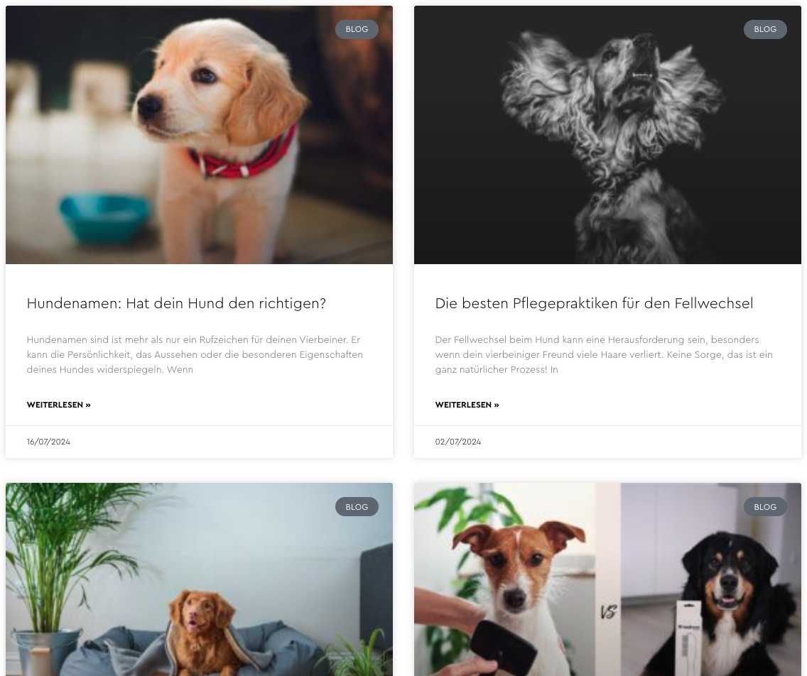 heybruno Blog Layout Referenz
